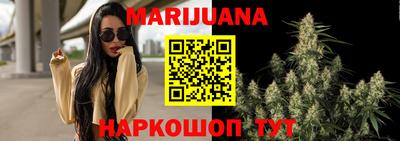 spice Камышлов