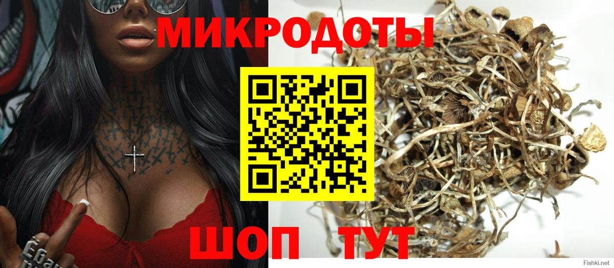 Кызыл  Псилоцибиновые грибы GOLDEN TEACHER  где можно купить   Вход с VPN 