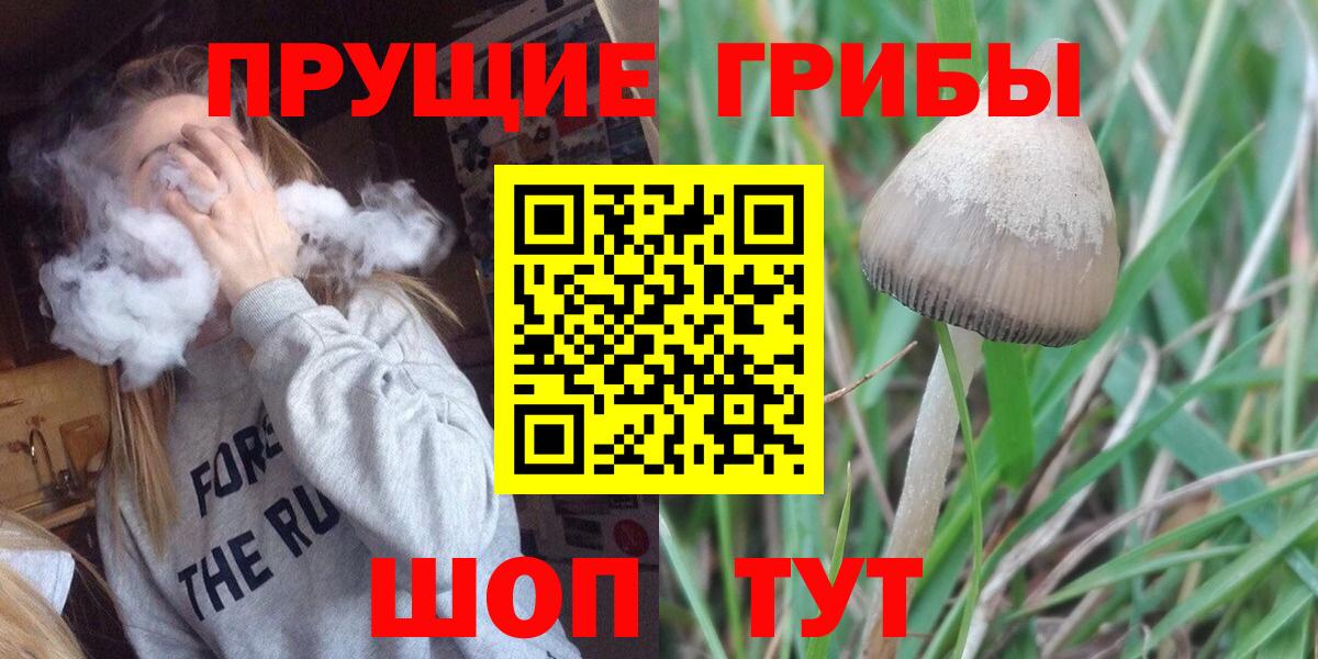 Галлюциногенные грибы мицелий Кызыл